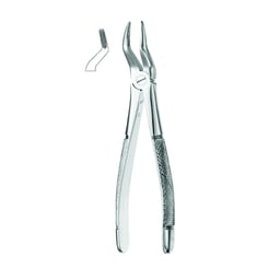 Best #51 English Pattern Extraction Forceps, 1/Pk | Net32