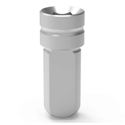 Bhi Implants Digital Analog for Internal Hex Dent