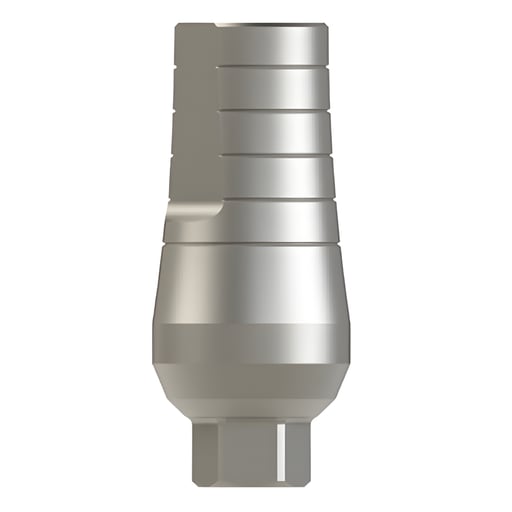 Bhi Implants Straight Titanium Abutment w/Screw, 