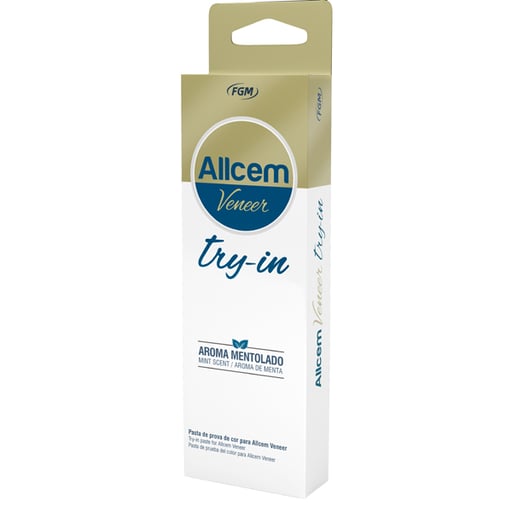 Allcem veneer Try-In Shade A1, 2g Syringe with 5 