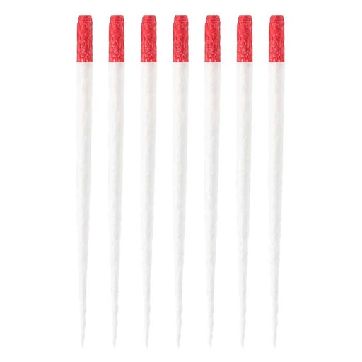 JMU #25 Absorbent Paper Points, .06 Taper, Color-