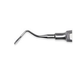 Premier #303 B Apical (Blunt) Elevator With Large
