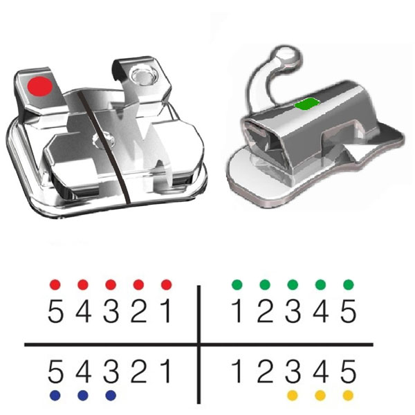 TOL 3B Orthodontics Brackets - Mini Size, Low Profile, Roth 0.018 (hook on 3,4,5) - 20 Piece