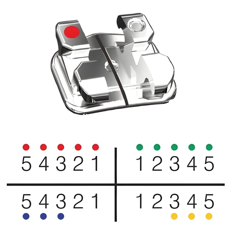 TOL 3B Orthodontics Brackets, Mini Size, Low Profile, Roth 0.018", Hook on 3, 20/Pk. Features an