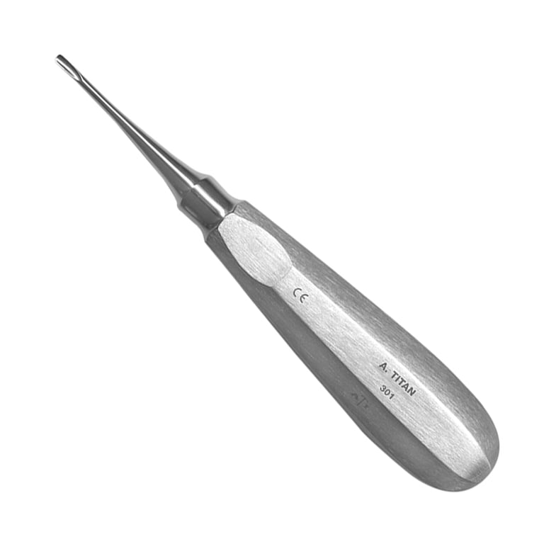 A. Titan Instruments #301 Stainless Steel Elevator, Small, Straight, 2.5mm Tip, 1/Pk. Lightweight