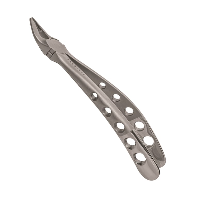 A. Titan Instruments Plus Series #150 Stainless Steel Extraction Forceps, Upper Universal, 1/Pk