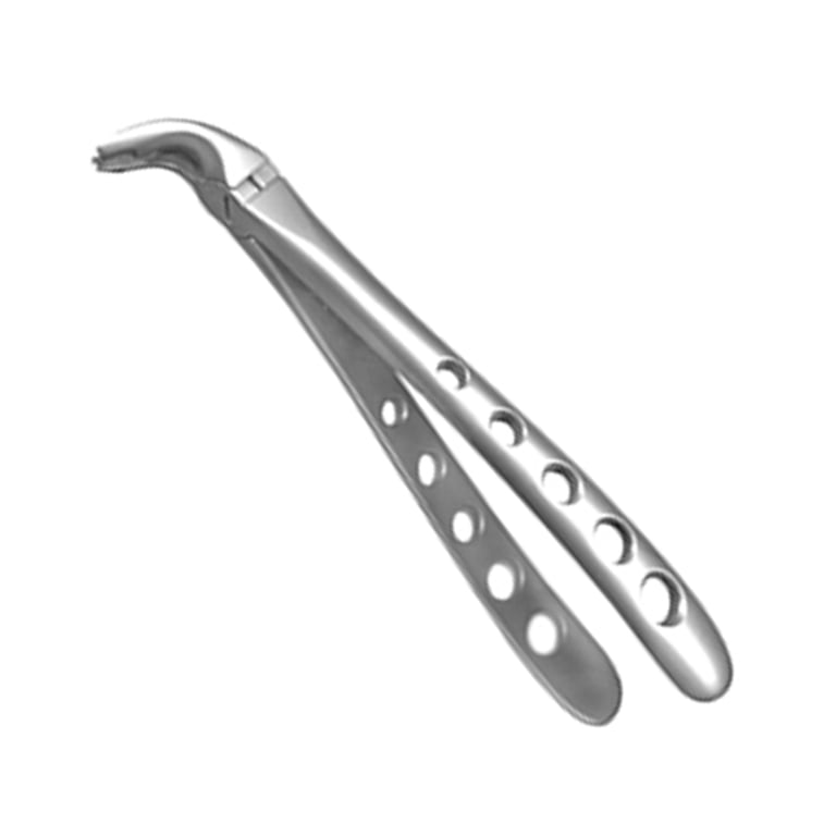 A. Titan Instruments X-TRAC Stainless Steel Forceps, Notched Beaks, Lower Universal, 1/Pk