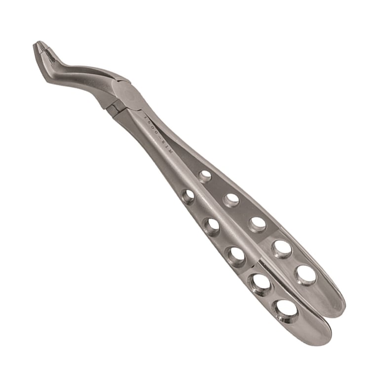 A. Titan Instruments #51 Stainless Steel Plus Series Forceps, Upper Root, 1/Pk. Features beveled