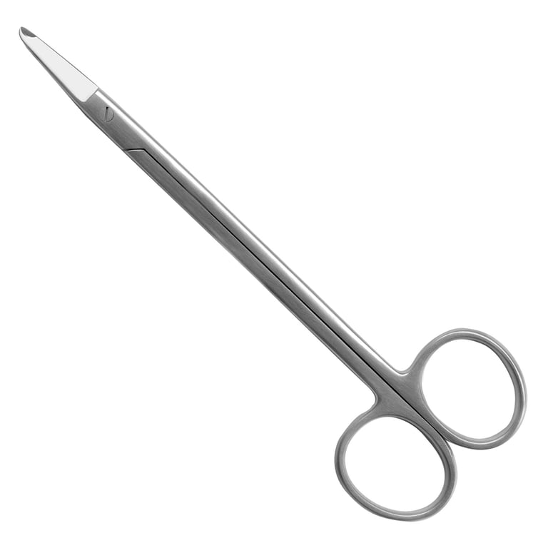 A. Titan Instruments 6" Stainless Steel Straight Suture Scissor with Loop, 1/Pk