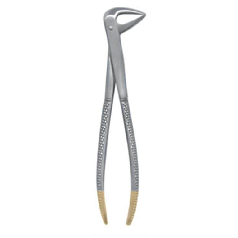 A. Titan Instruments A. Titan Stainless Steel Diamond Grit Ash Pattern Forceps, Lower Anterior