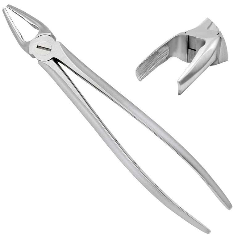AR Instrumed 6.5" Stainless Steel Adult Extraction Forceps, Plier, Serrated, 1/Pk. Features