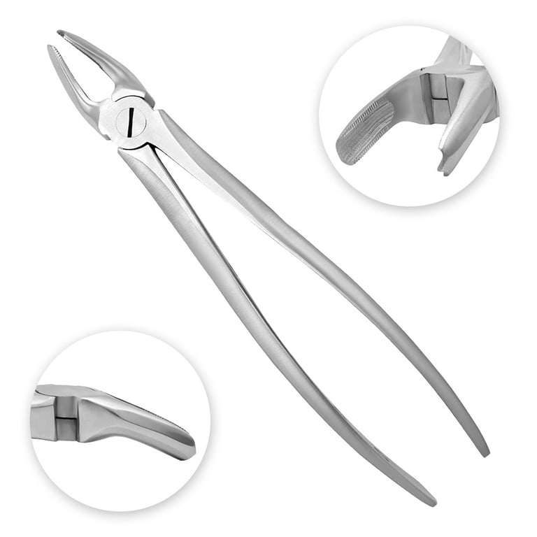 AR Instrumed #18 Stainless Steel Adult Extraction Forceps, Serrated, 1/Pk. Features medical-grade