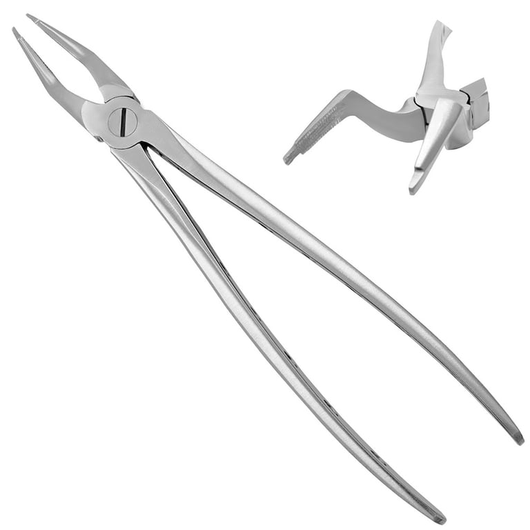 AR Instrumed 7" Stainless Steel Adult Upper Roots Extraction Forceps, Serrated, 1/Pk. Features