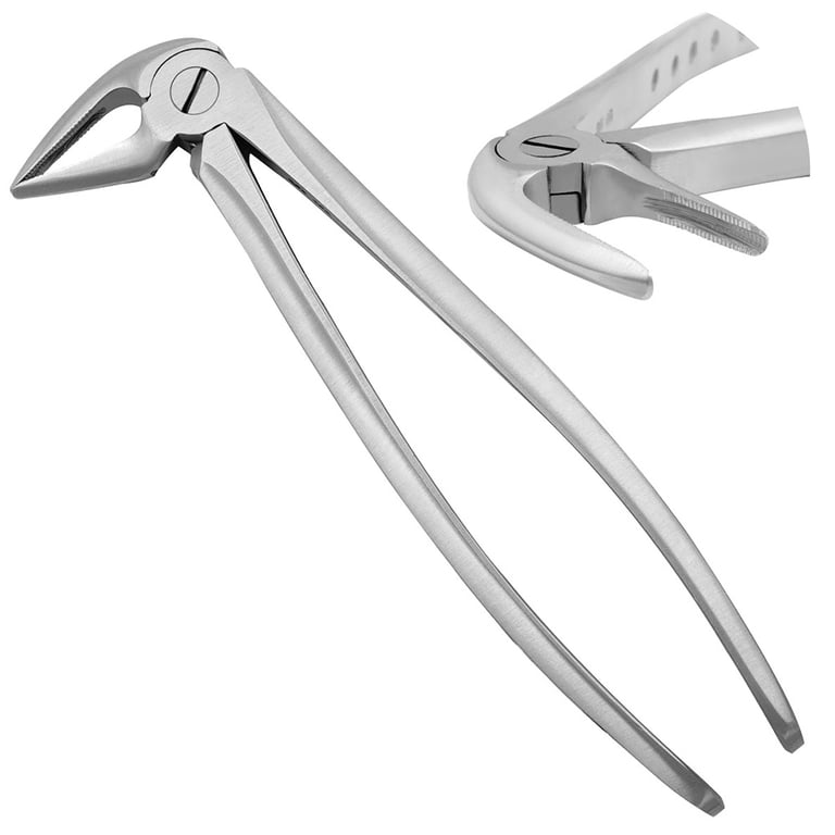 AR Instrumed #33L Stainless Steel Adult Lower Roots Extraction Forceps, Serrated, 1/Pk. Features