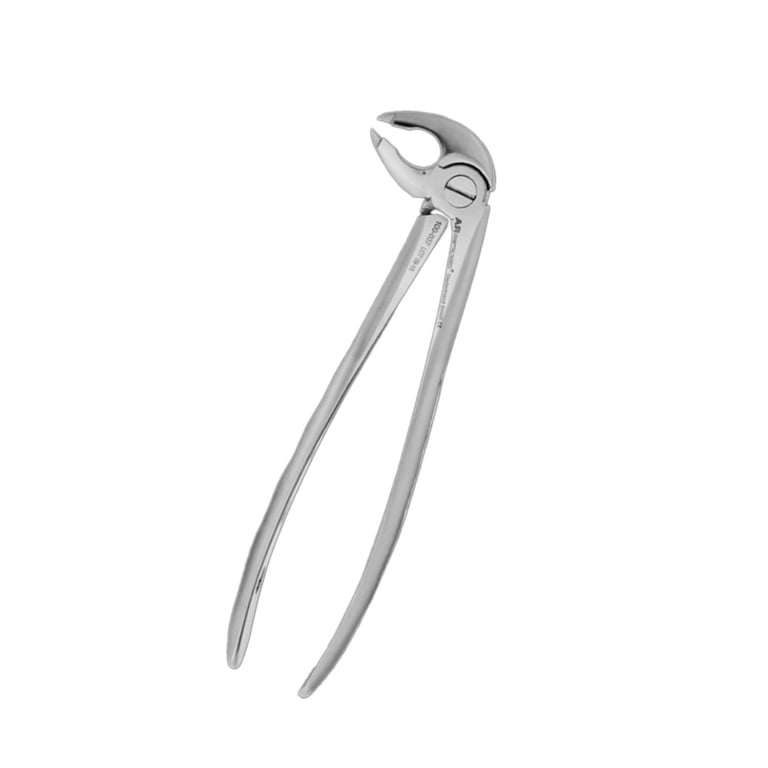 AR Instrumed #36 Stainless Steel Adult Extracting Forceps, Curved Tip, Serrated, 1/Pk. Features