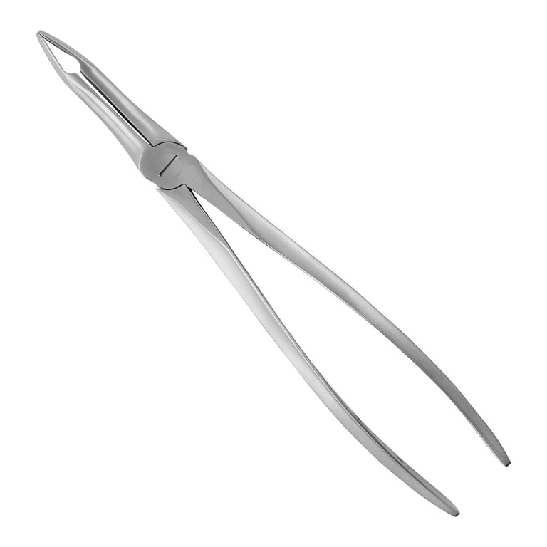 AR Instrumed #49 Stainless Steel Adult Upper Roots Extraction Forceps, Straight Long Tip