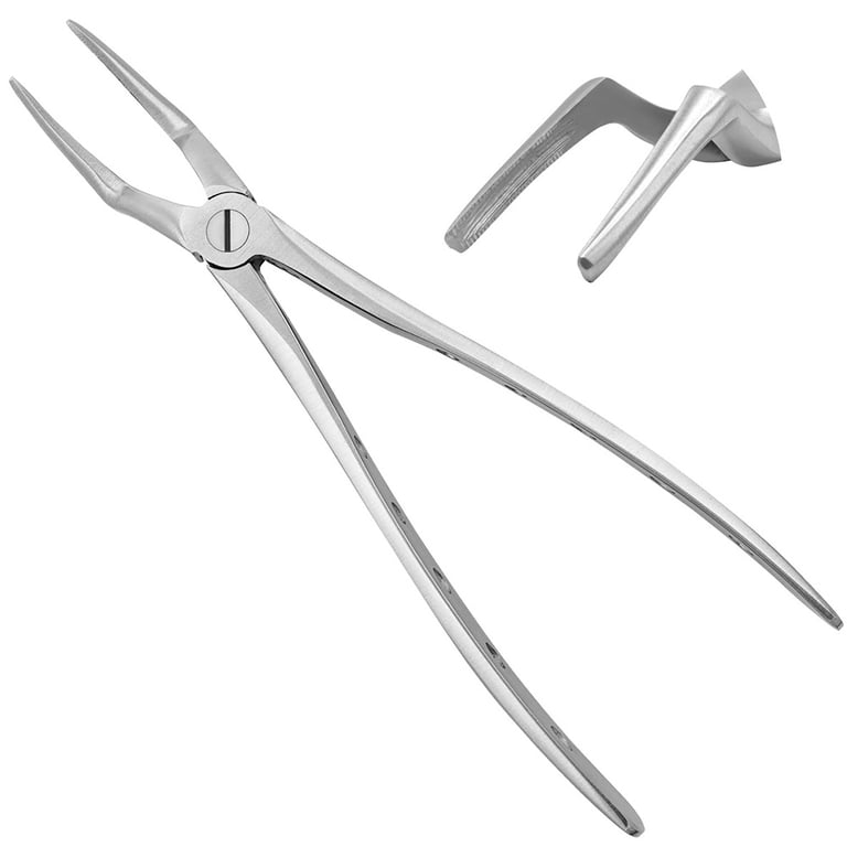 AR Instrumed #51M Stainless Steel Adult Upper Roots Extraction Forceps, Serrated, 1/Pk. Features