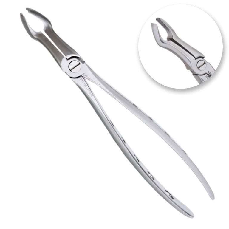 AR Instrumed #67 Stainless Steel Adult Extracting Forceps, Long Curved Tip, Serrated, 1/Pk