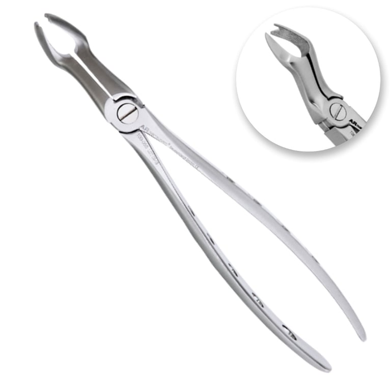 AR Instrumed #67L Stainless Steel Adult Extracting Forceps, Serrated, 1/Pk. Features medical-grade