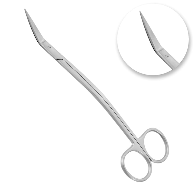 AR Instrumed 6.6" Stainless Steel Dean Scissors, Fine Tip, Double-Curved, 1/Pk. Features smooth