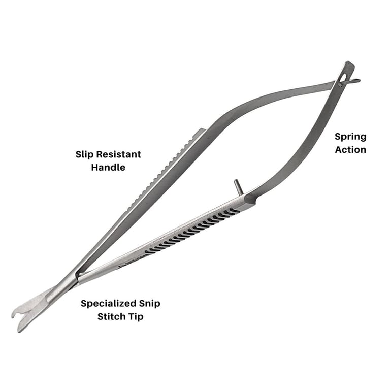 Artman Instruments 5.5" Stainless Steel Castrovie