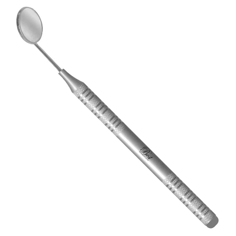 Best Stainless Steel Mirror with Handle, 1/Pk