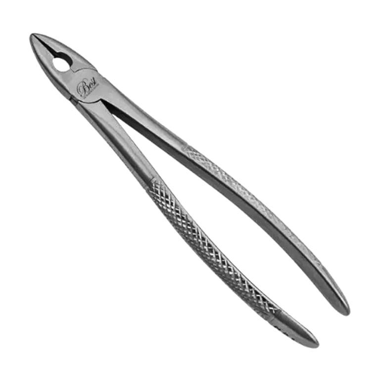 Best #MD1 English Pattern Extraction Forceps, Serrated, 1/Pk. Designed for the upper incisors