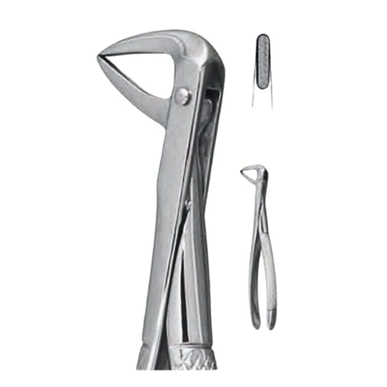 Best #74N English Pattern Extraction Forceps, 1/Pk. Designed for the lower incisors and roots