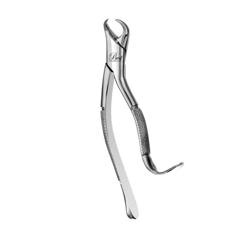 Best #16 American Pattern Cowhorn Extraction Forceps, 1/Pk. Designed for the lower molars in oral