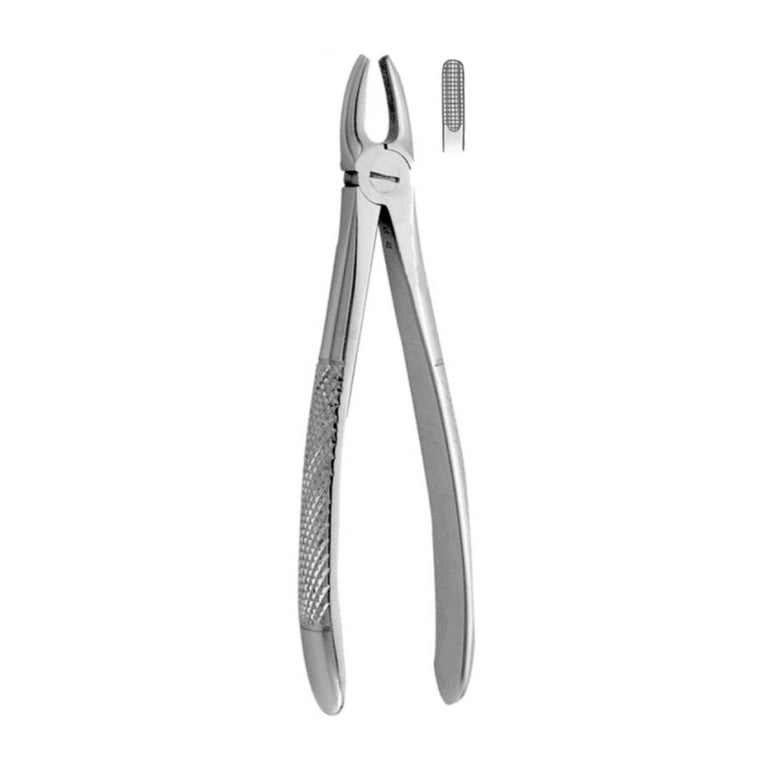 Best #1 English Pattern Extraction Forceps, 1/Pk. Designed for the upper anterior teeth in oral