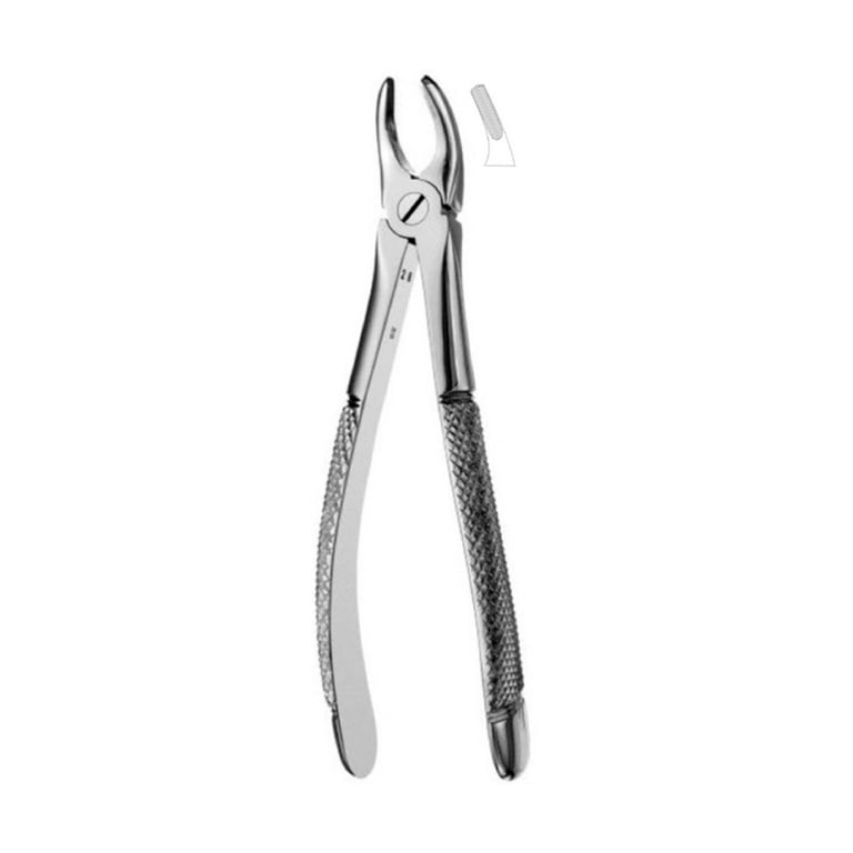 Best #7 English Pattern Extraction Forceps, 1/Pk. Designed for the upper premolars in oral surgery