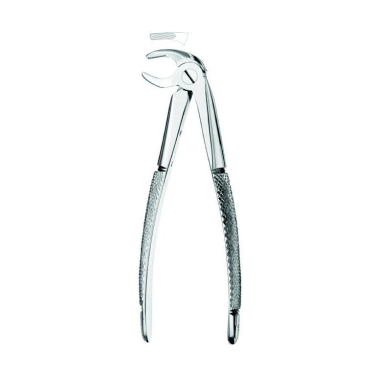 Best #13 English Pattern Extraction Forceps, 1/Pk. Designed for the lower premolars in oral surgery