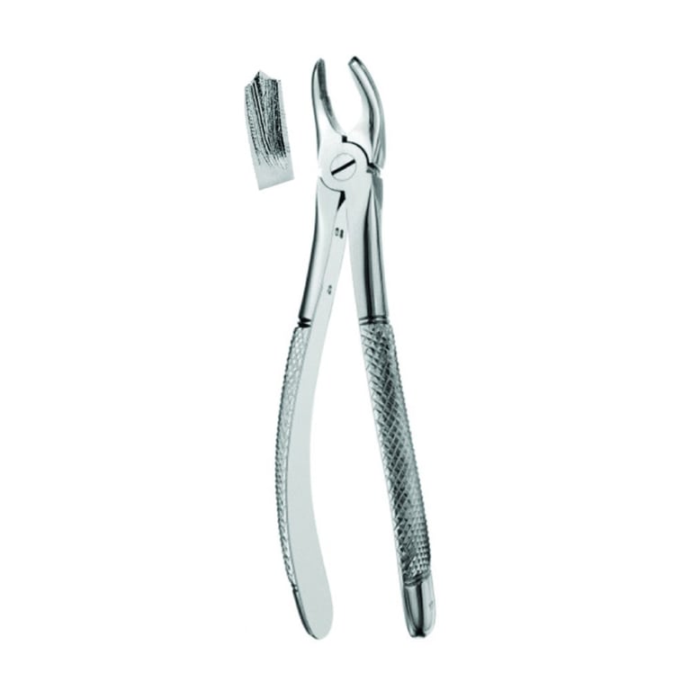 Best #17 English Pattern Extraction Forceps, 1/Pk. Designed for the upper right molars in oral
