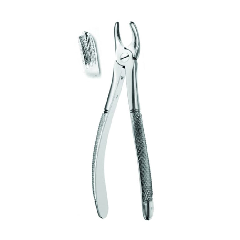 Best #18 English Pattern Extraction Forceps, 1/Pk. Designed for the upper left molars in oral