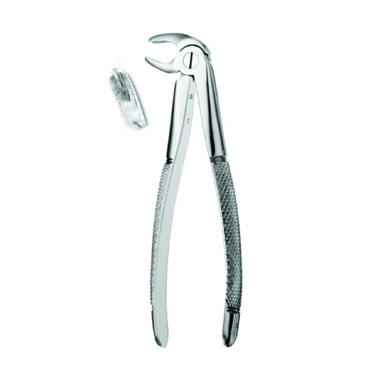 Best #22 English Pattern Extraction Forceps, 1/Pk. Designed for the lower molars in oral surgery