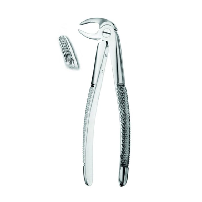 Best #33 English Pattern Extraction Forceps, 1/Pk. Designed for the lower anterior roots in oral