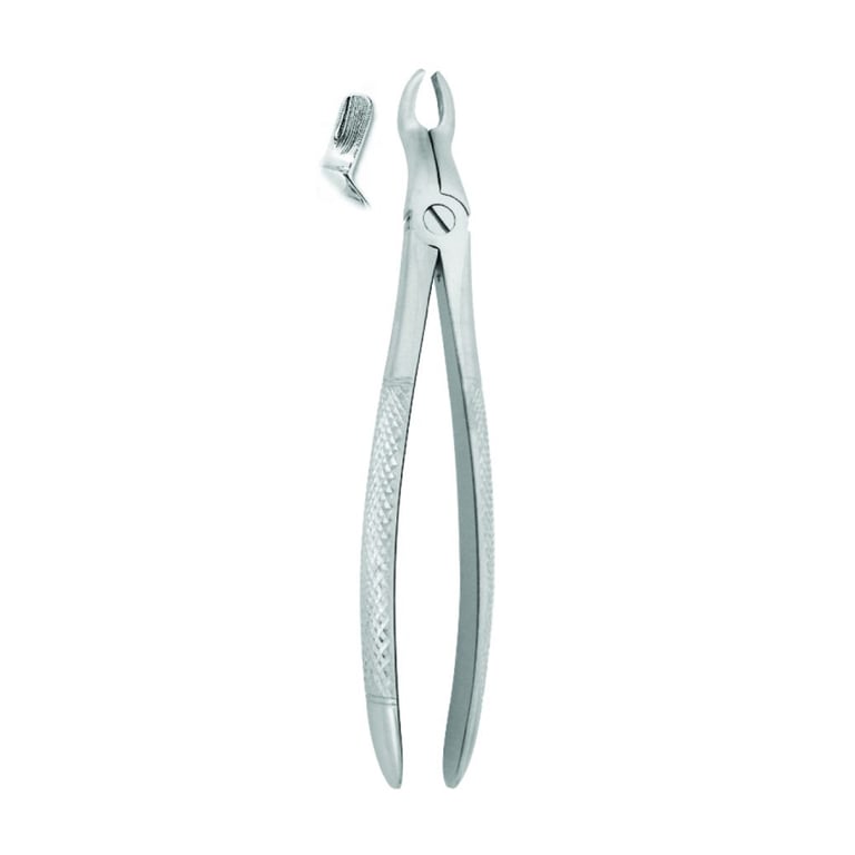 Best #67 English Pattern Extraction Forceps, 1/Pk. Designed for the upper wisdom teeth in oral