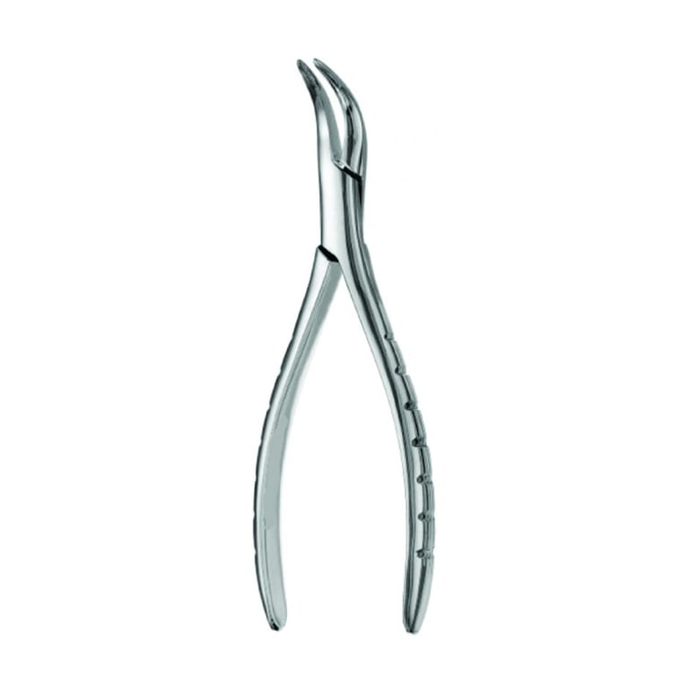 Best #301 English Pattern Extraction Forceps, 1/Pk. Designed for the lower roots in oral surgery