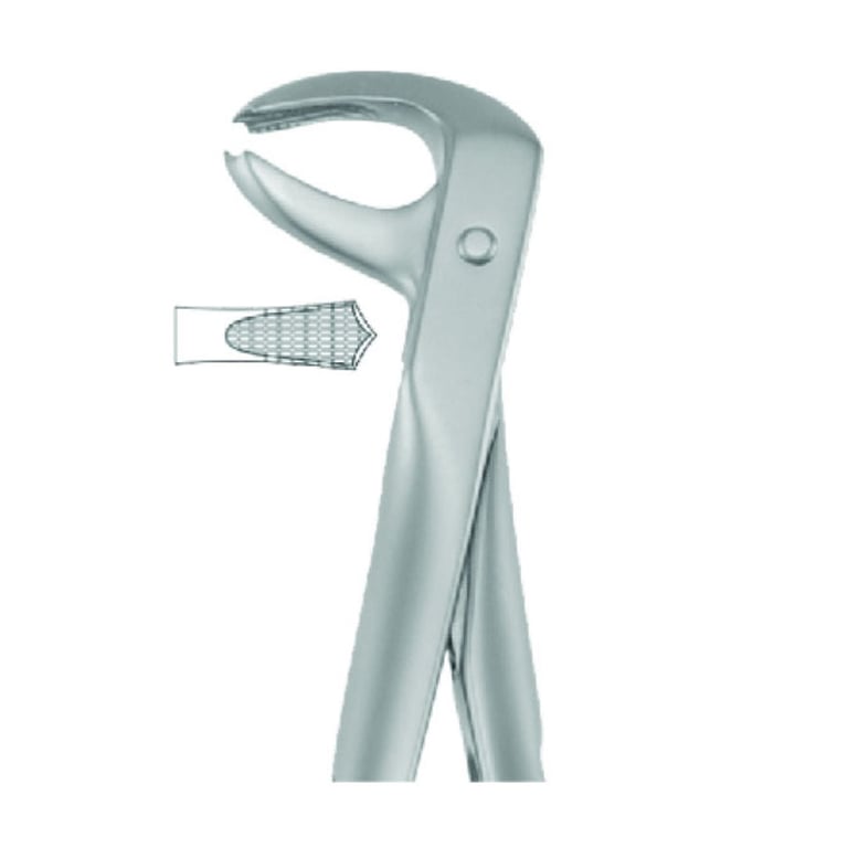 Best #P-7 Stainless Steel Atraumatic Extraction Forceps, 1/Pk. Designed for the lower molars