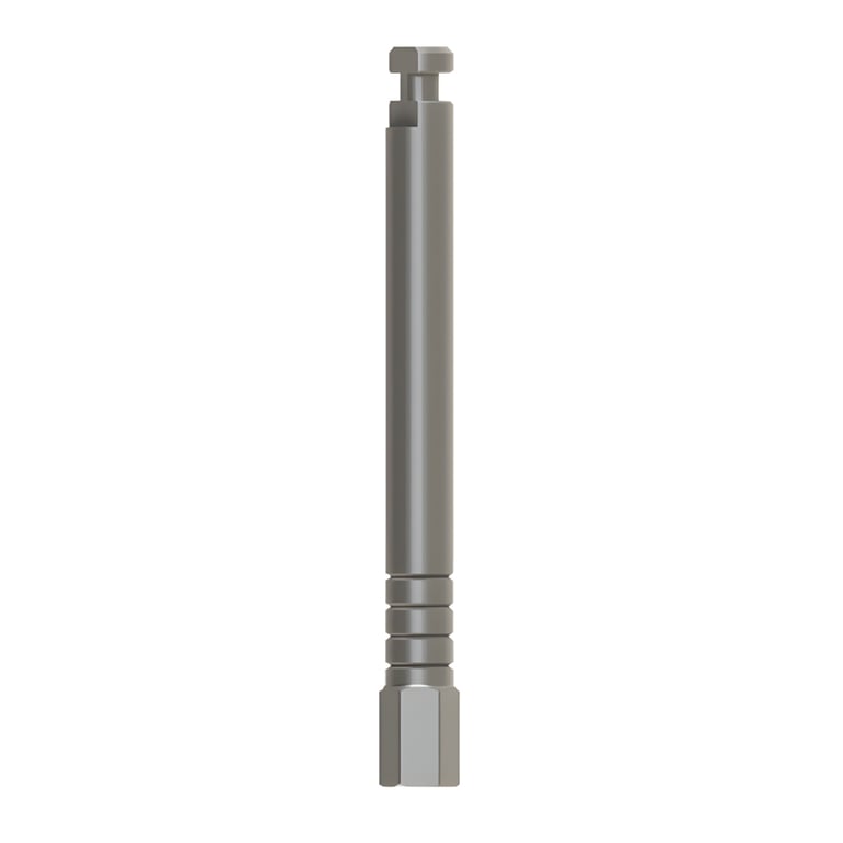 Bhi Implants Hex Driver 2.42mm Motor Mount Adapter, Stainless Steel, Internal Hex, 25mm, 1/Pk