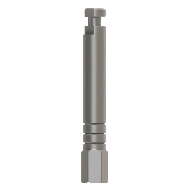 Bhi Implants Hex Driver 2.42mm Motor Mount Adapter, Stainless Steel, Internal Hex, 20mm, 1/Pk