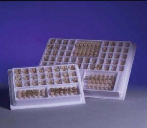 B-Crowns #LL3 Upper Left Lateral Polycarbonate Cr