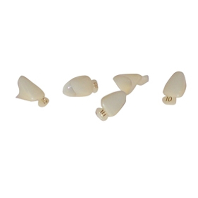 MARK3 #22 Polycarbonate Crown Form, 5/Bx. Upper Right Lateral. Universal shade and numbering