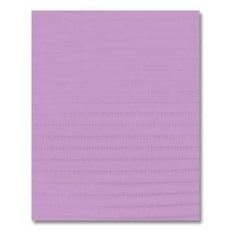 Advantage Silver Grey Patient Bibs plain rectangle (13" x 18"), 2 Ply Paper/1 Ply Poly, Special