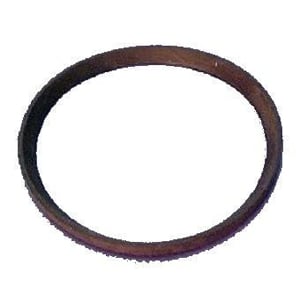 DCI Replacement Gasket 1/Pk. For Suction Collection Bottles in Wall-Mount Systems. Requires 3/8"