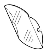 DCI Replacement Lens Splash Shield for Dental Lights, Pelton & Crane LF-I