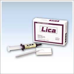 Lica Light-Curing Radiopaque Calcium Hydroxide Paste kit, 8 gram syringe, applicator & mixing pads