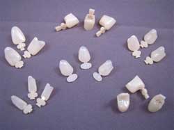 Master-Dent #10 Upper Right Central Polycarbonate Crown Form, Box of 5 Crown Forms