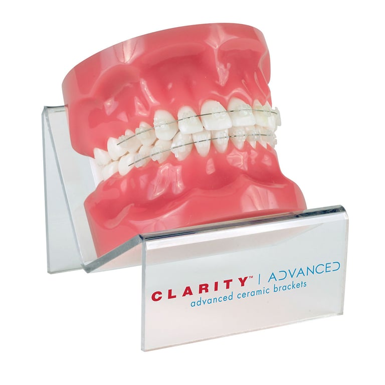 Clarity Advanced Ceramic Brackets Typodont, 1/Pk. High-quality practice enhancement typodonts