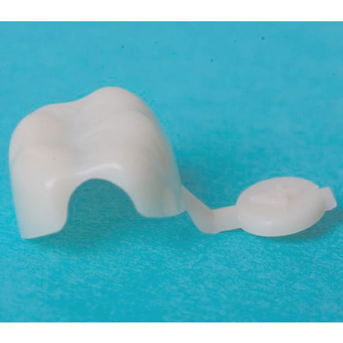 DirectCrown Pediatric Posterior Refill - 8 Shells/Pack: Lower Large Right Molar